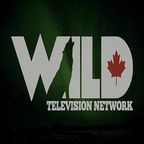 Wild TV logo